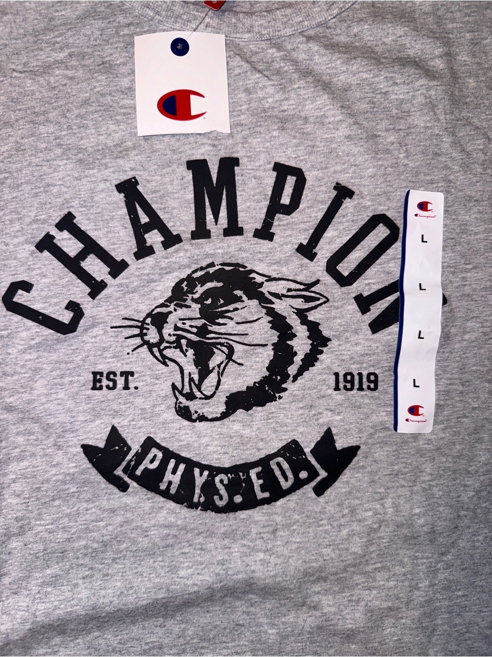 NWT Champion Phys. Ed. Boxy Cropped Graphic T-Shirt – Men’s Large - Picture 5 of 7